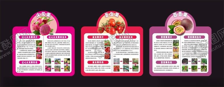 编号：34347204080017209647【酷图网】源文件下载-水果科普