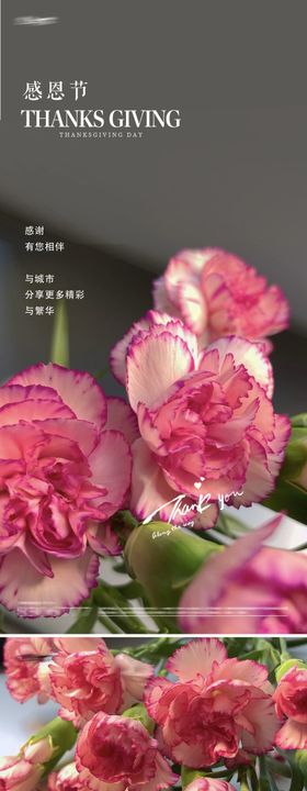 感恩节鲜花