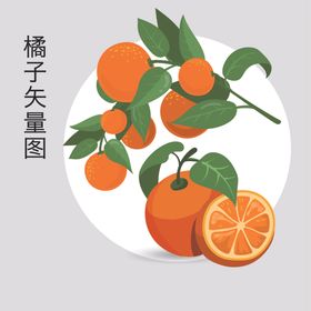 橘子橙子手绘矢量素材