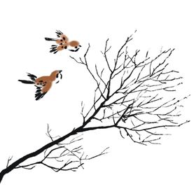 枯树枝小鸟