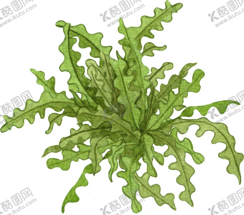 编号：33872309280306485539【酷图网】源文件下载-绿植水彩插画