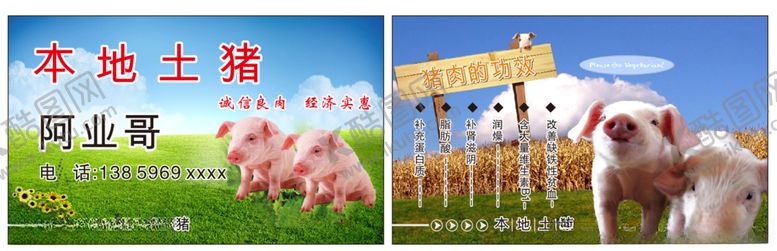 编号：77814209231046341028【酷图网】源文件下载-猪肉名片