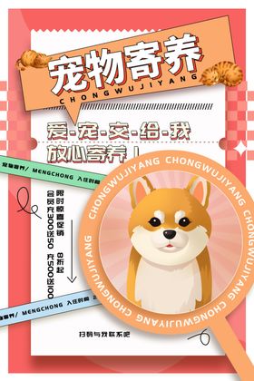 宠物营养海报展示可爱柴犬