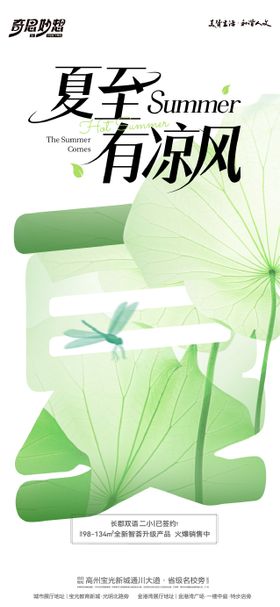 夏至节气海报