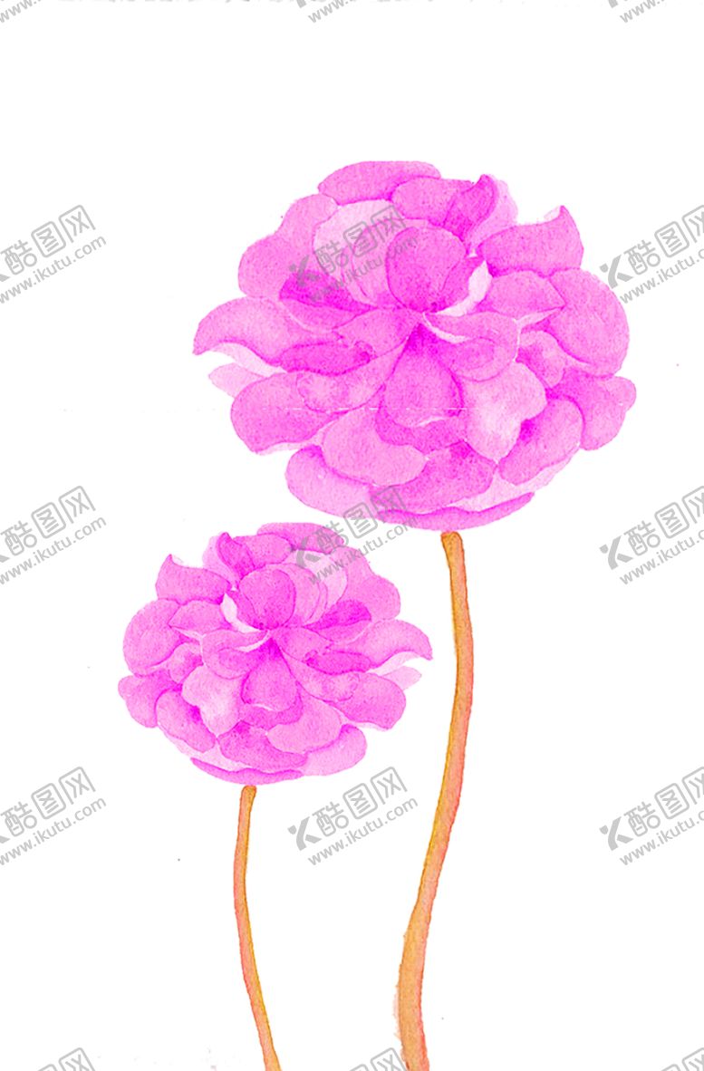 编号：72967706161842502895【酷图网】源文件下载-鲜花素材