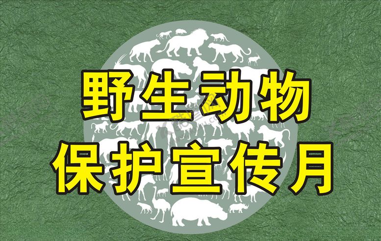 编号：81257306281159036854【酷图网】源文件下载-野生动物