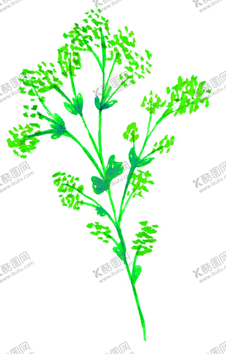 编号：62018810282010044896【酷图网】源文件下载-花素材