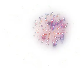 烟花背景纹理装饰