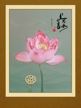 荷花