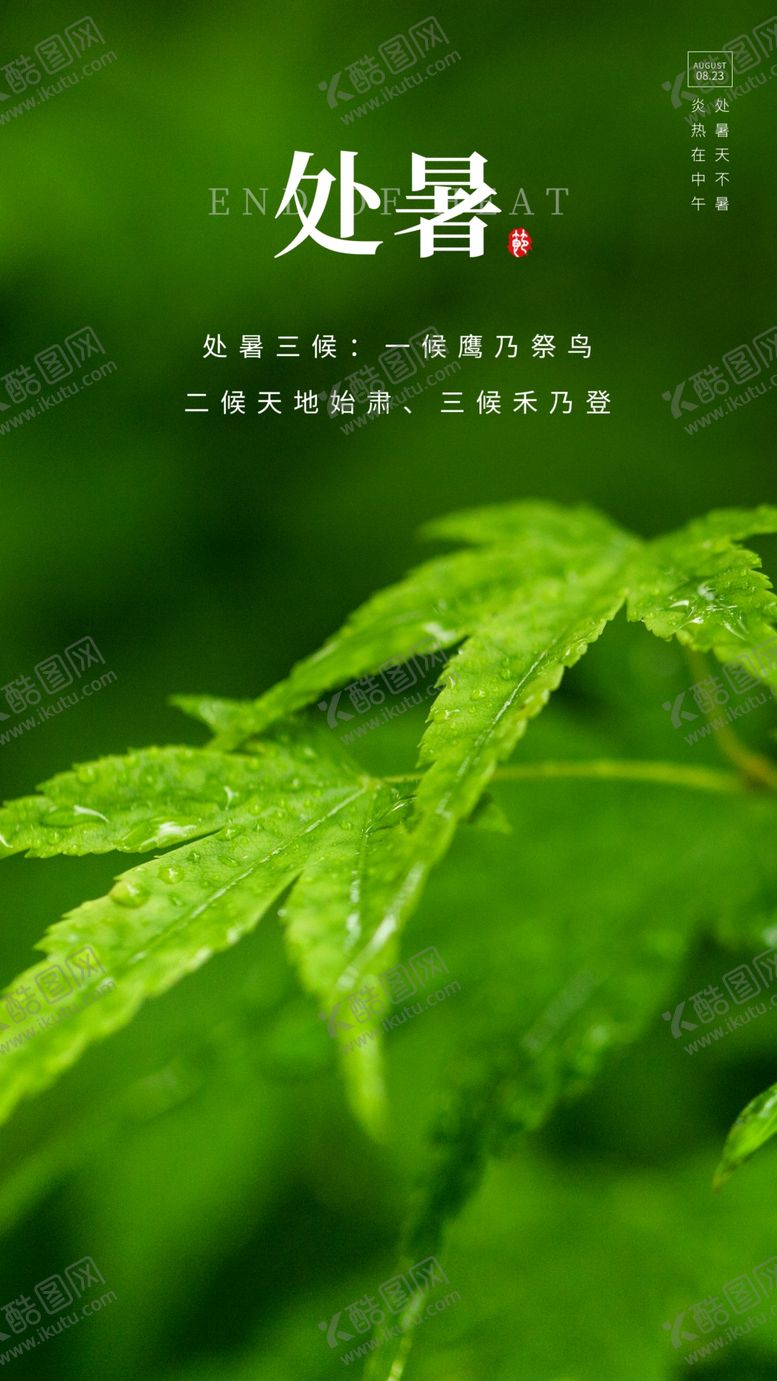 编号：62253011120446113399【酷图网】源文件下载-处暑海报
