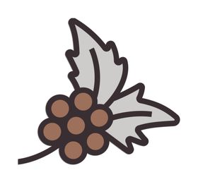 网页图标