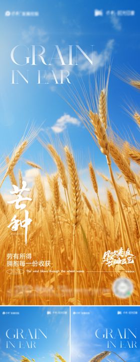 芒种节气海报系列二十四金黄