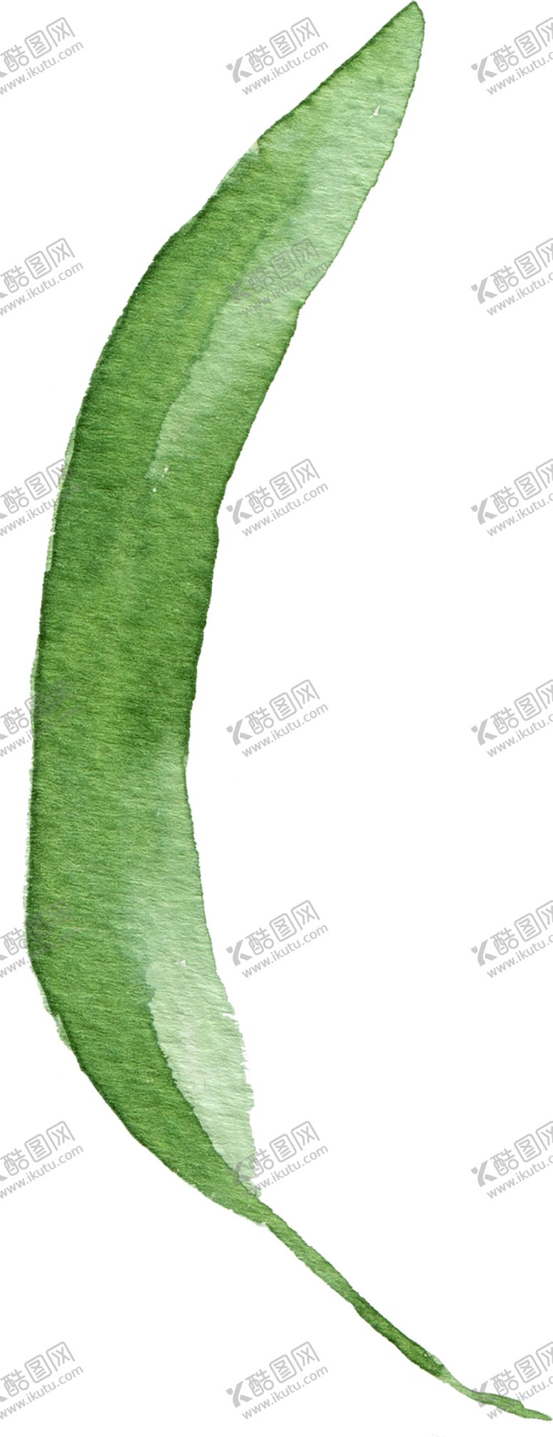 编号：68363109170920395282【酷图网】源文件下载-植物