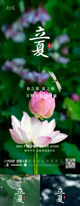 立夏海报地产荷叶二十四节气