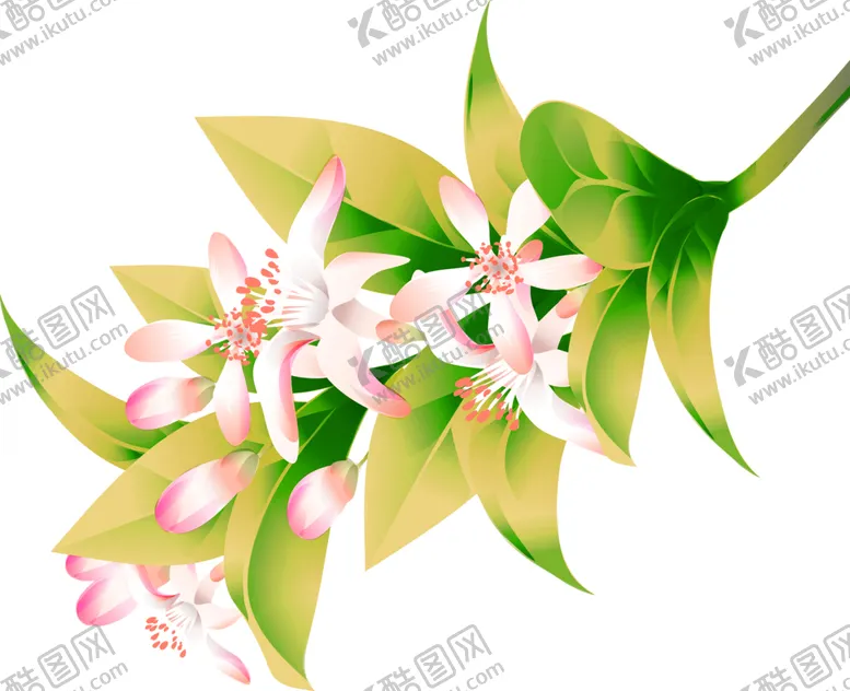 编号：14250507020454429659【酷图网】源文件下载-鲜花素材