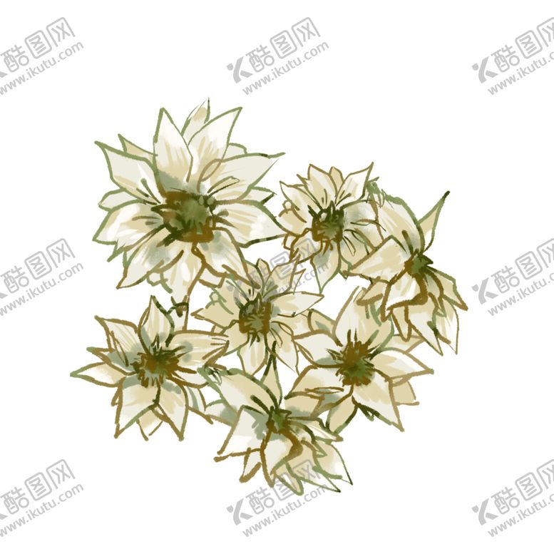 编号：60611709260951061943【酷图网】源文件下载-免抠背景干花枯花