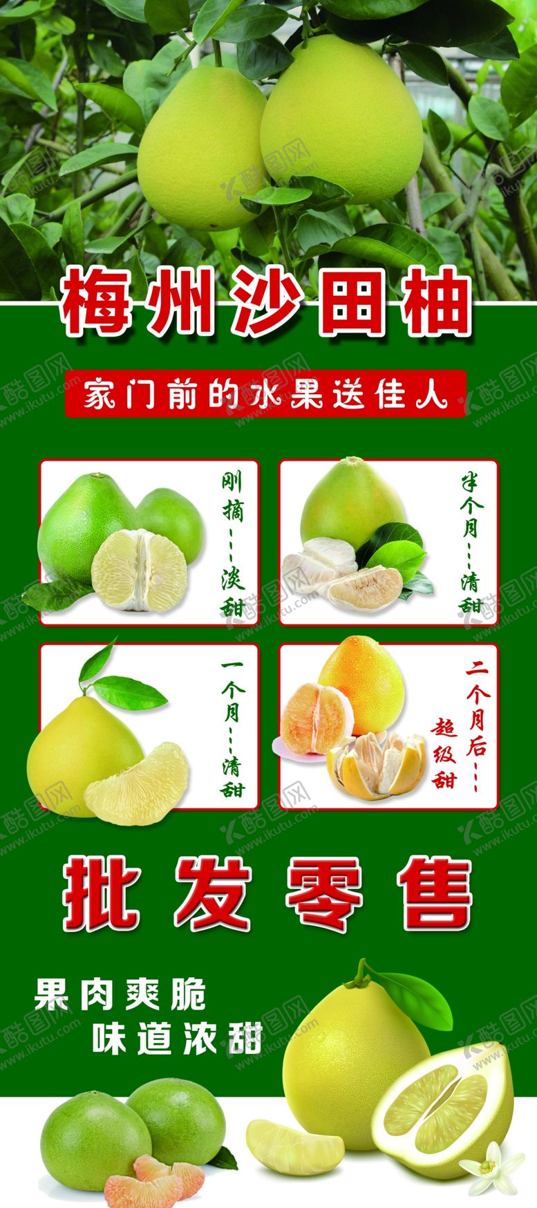 编号：69155605041641004868【酷图网】源文件下载-梅州沙田柚展架海报