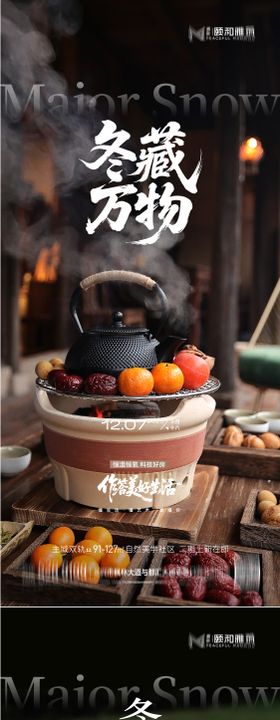 大雪节气移动端海报