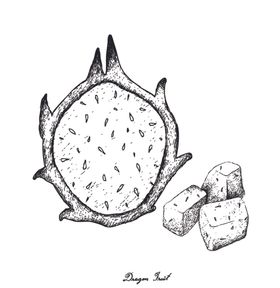 素描水果