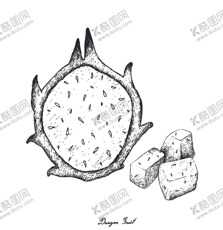 编号：18886409091528237090【酷图网】源文件下载-素描水果