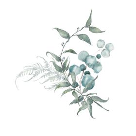 小清新水彩植物