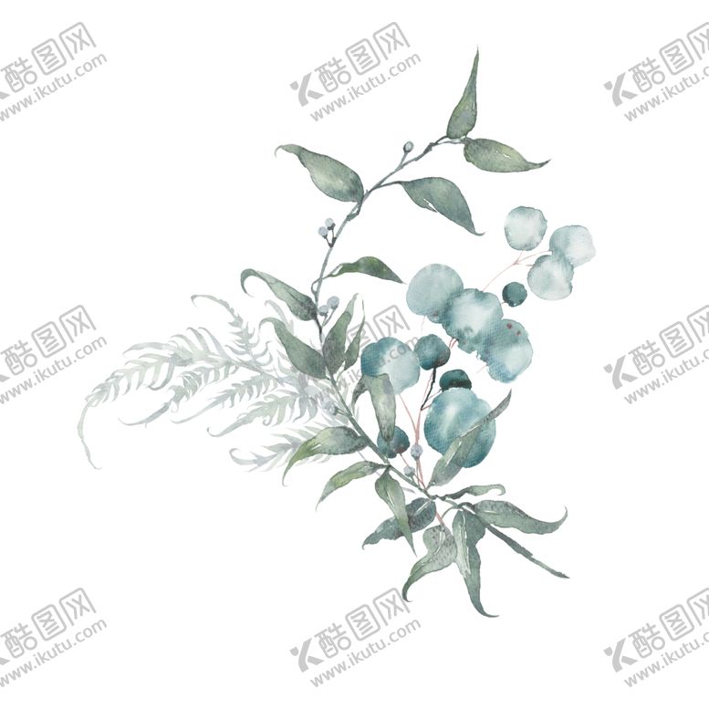 编号：20215505181153051607【酷图网】源文件下载-小清新水彩植物树枝