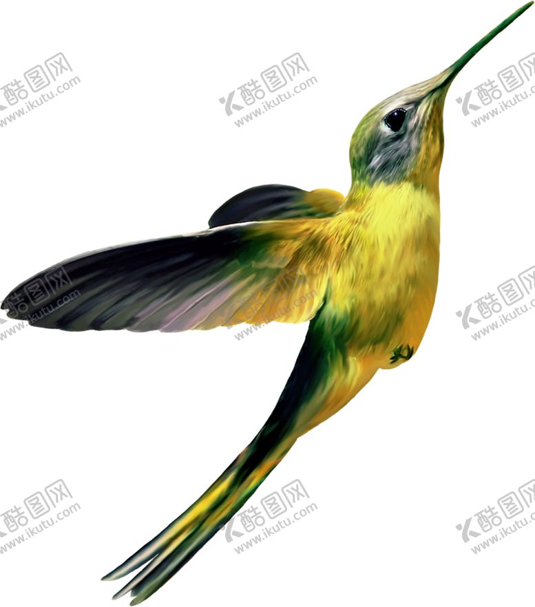 编号：89979805180034438011【酷图网】源文件下载-蜂鸟
