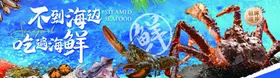 生猛海鲜海报