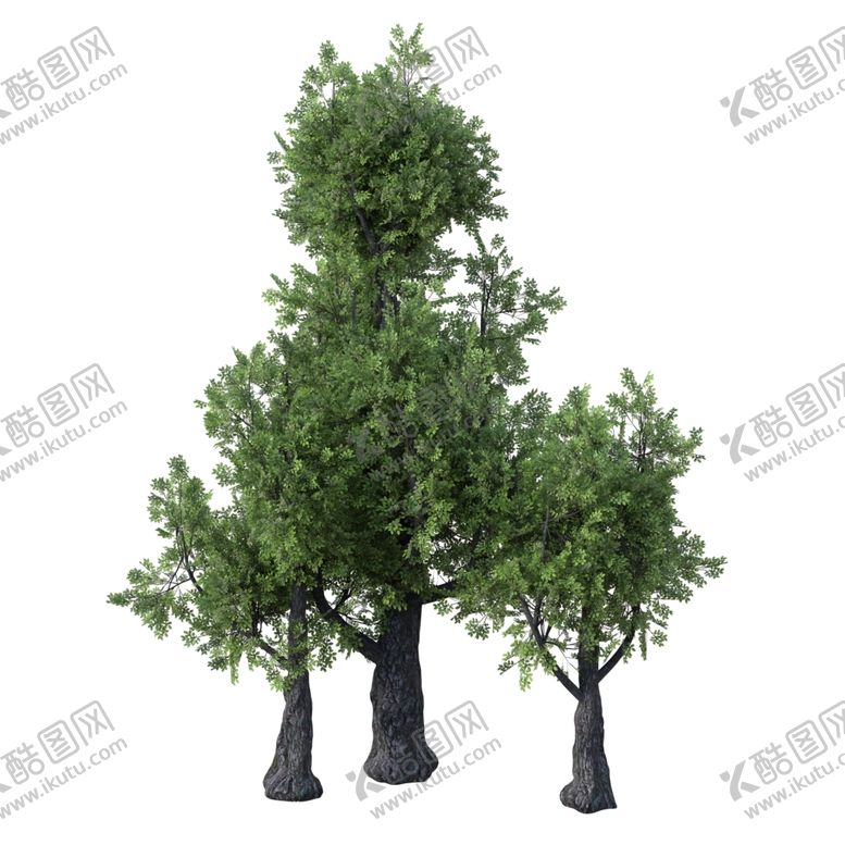 编号：48660212100336568084【酷图网】源文件下载-茂盛树木PSD透明背景素材
