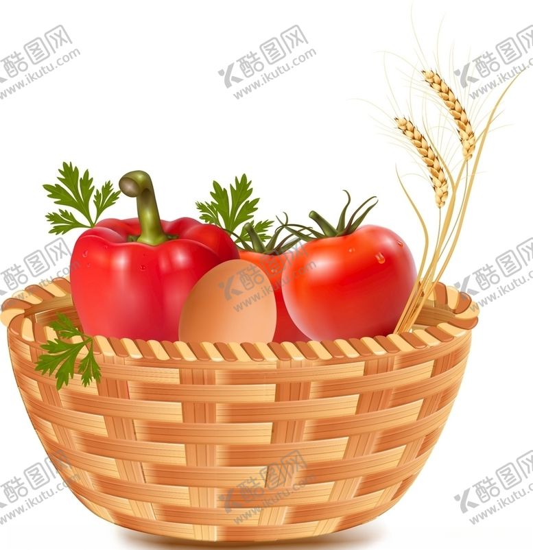 编号：81068810221258001191【酷图网】源文件下载-蔬菜
