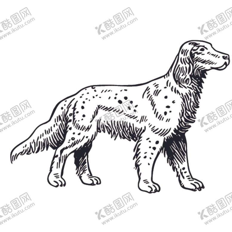 编号：43108910110607042405【酷图网】源文件下载-家禽动物线稿绘画图案