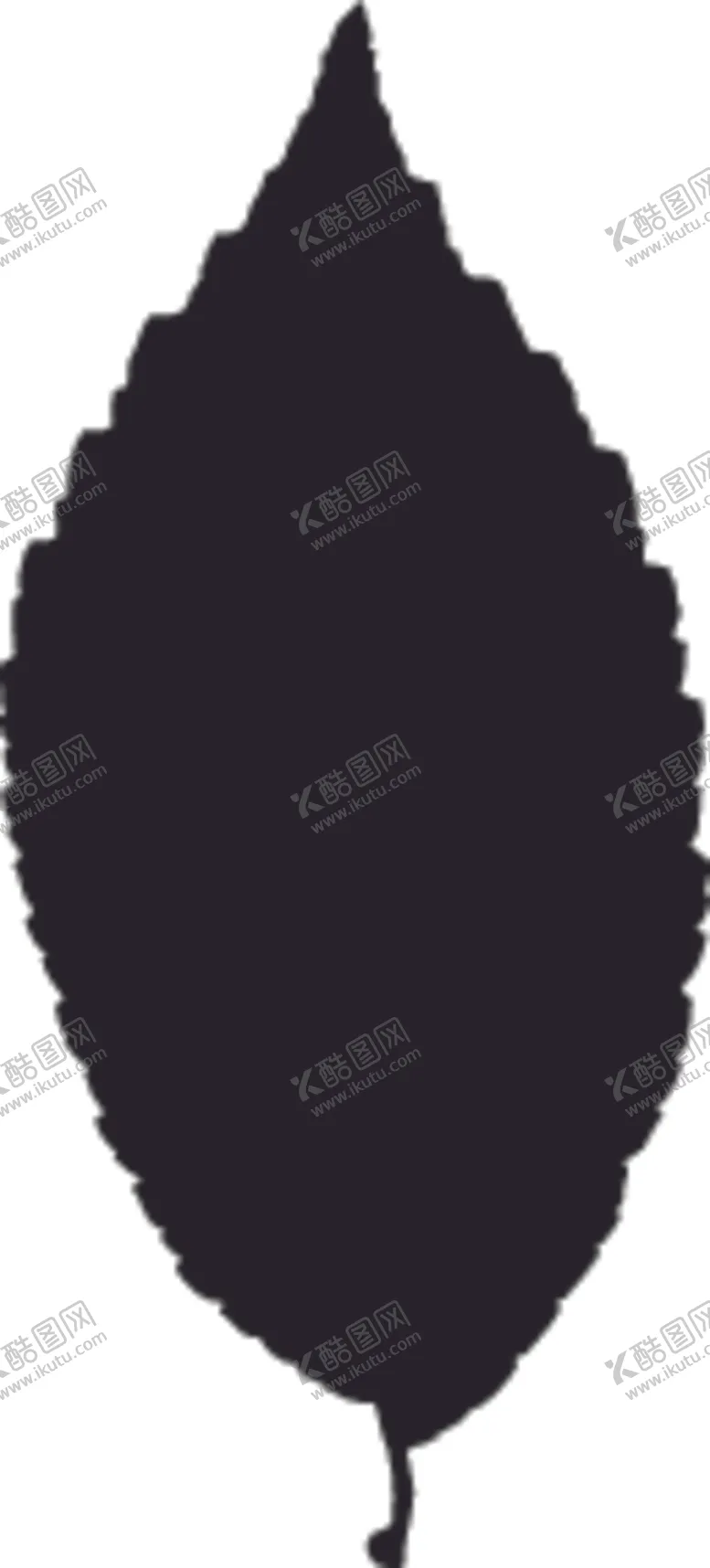 编号：86112107131207174361【酷图网】源文件下载-植物系列树叶