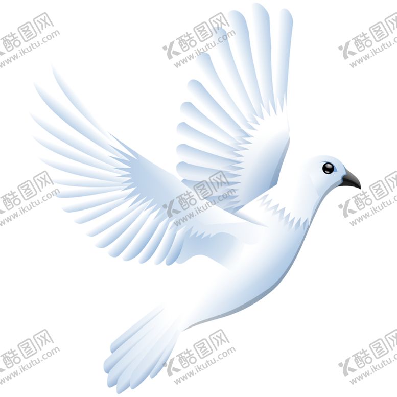 编号：99030706182222086826【酷图网】源文件下载-鸽子