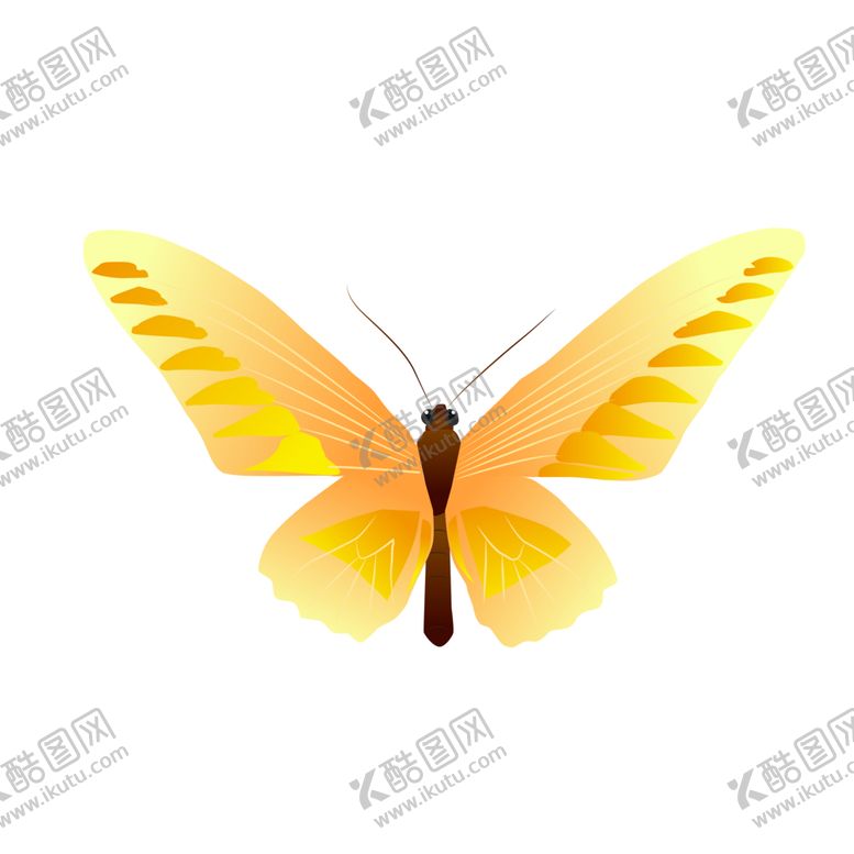 编号：86945801310135338759【酷图网】源文件下载-矢量春天春分蝴蝶飞舞