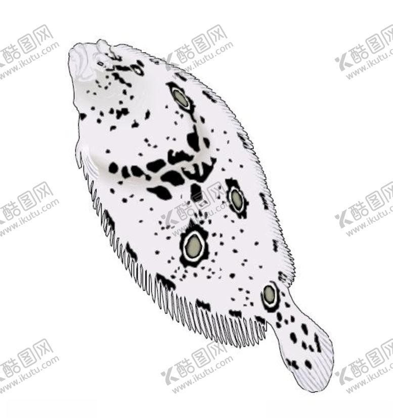 编号：57246309201429322954【酷图网】源文件下载-怪鱼