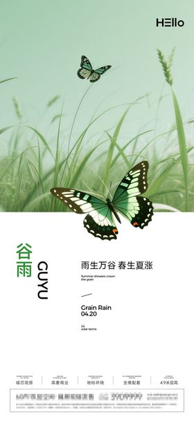 谷雨海报二十四节气蝴蝶草地