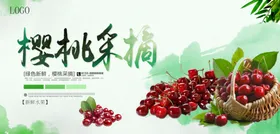樱桃海报
