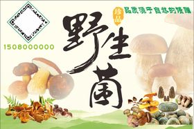 小炒野山菌云南野生菌舌尖上的美食