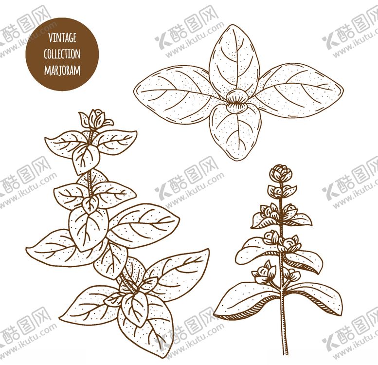 编号：41246907050318081266【酷图网】源文件下载-植物线稿