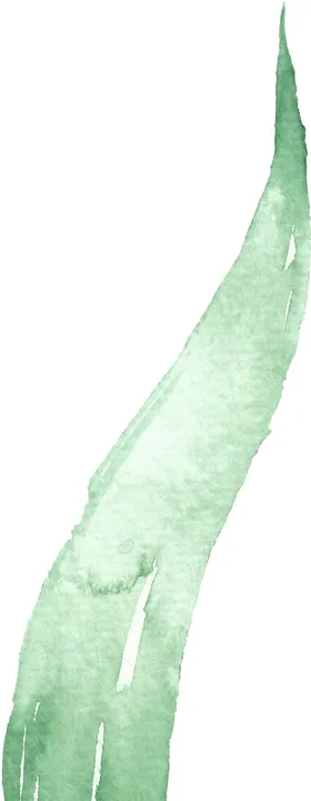 海报元素花草元素展架元素