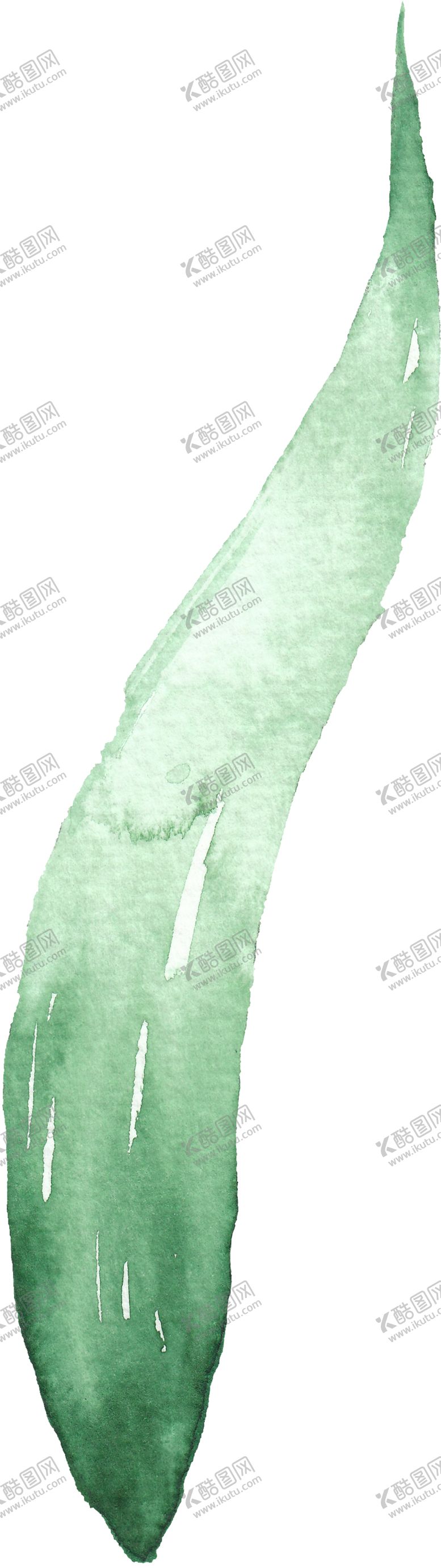 编号：88203910301930175597【酷图网】源文件下载-海报元素花草元素展架元素