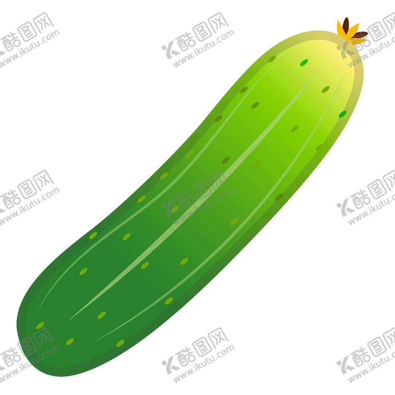 编号：40315810241320102148【酷图网】源文件下载-透明黄瓜png素材