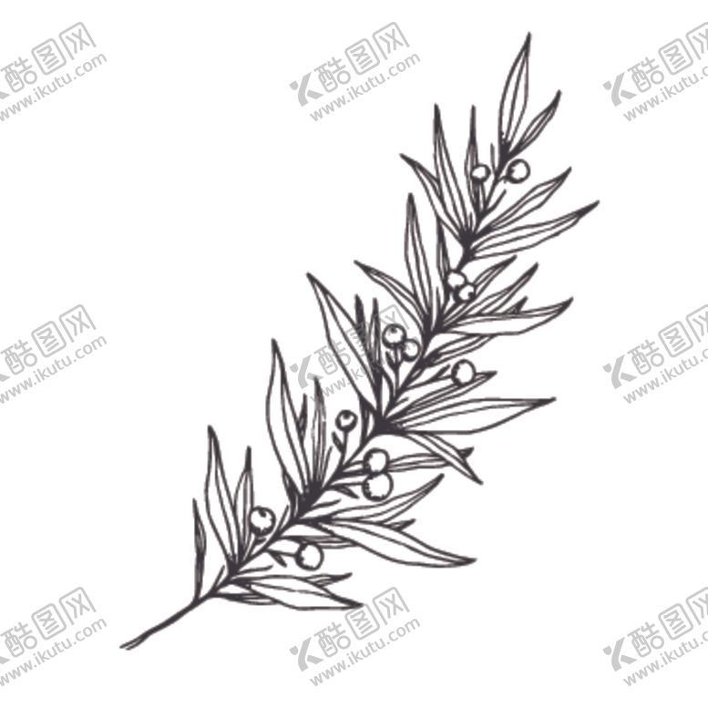编号：83595607071756115630【酷图网】源文件下载-简笔绘画植物花朵图谱
