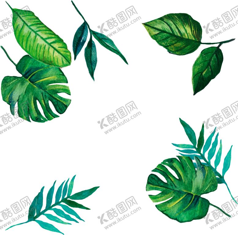 编号：42042807052034461891【酷图网】源文件下载-芭蕉叶热带