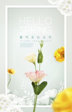 小清新