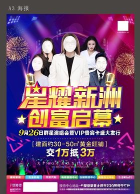 明星演唱会海报