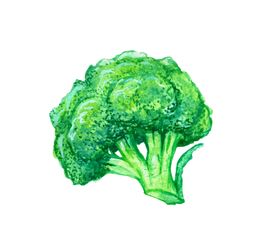 手绘彩色蔬菜免扣素材图片