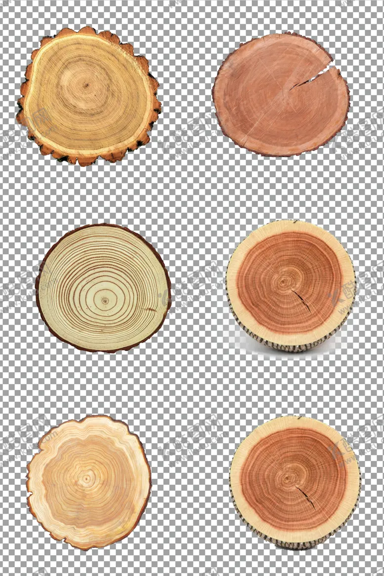 编号：11059609130706016278【酷图网】源文件下载-树木的底部切片