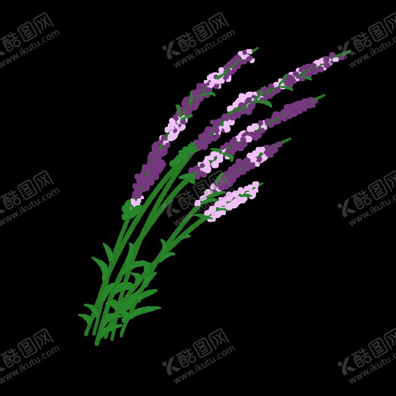编号：97225510251753079917【酷图网】源文件下载-紫色薰衣草PNG免扣鲜花素材