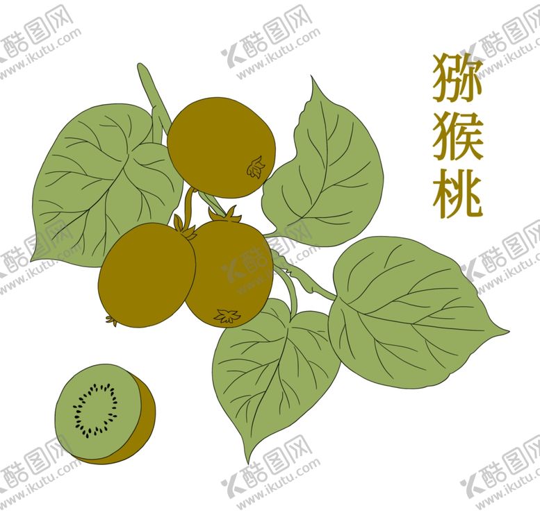 编号：85144302231753278462【酷图网】源文件下载-猕猴桃插画